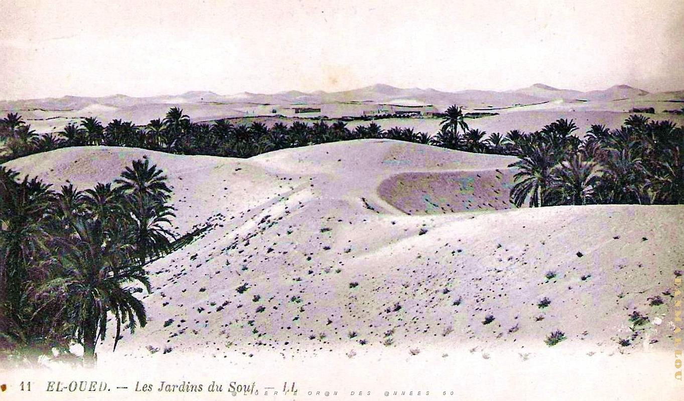 El-Oued - Jardins du Souf.jpg